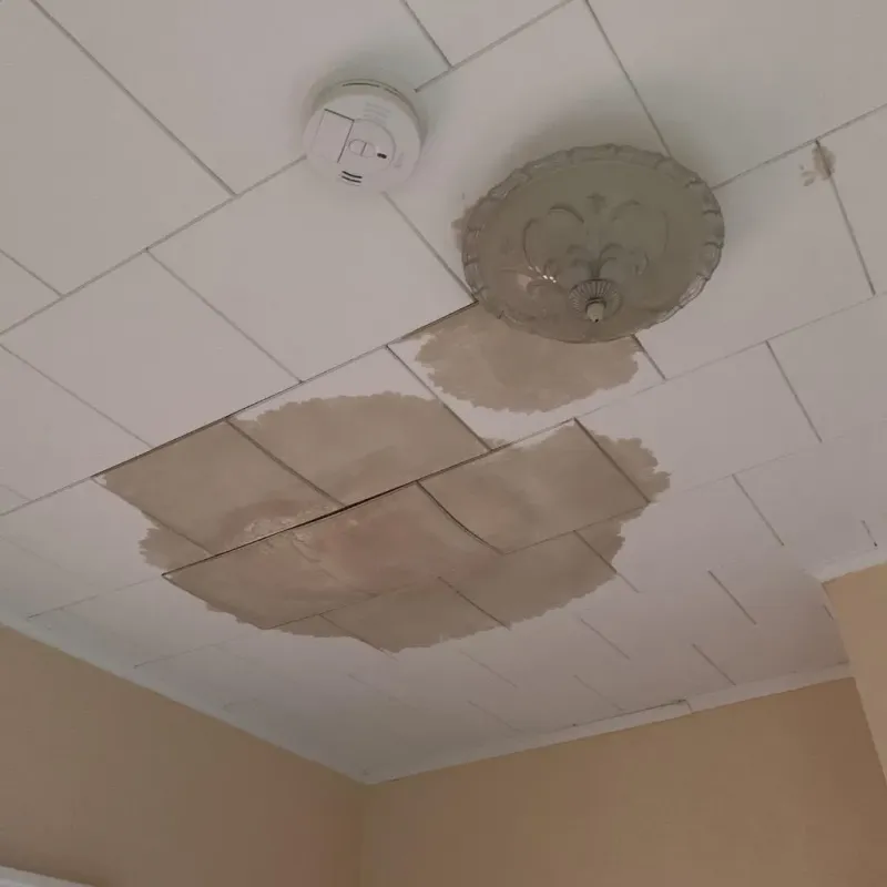 Ceiling Water Damage Repair in East Gull Lake, MN