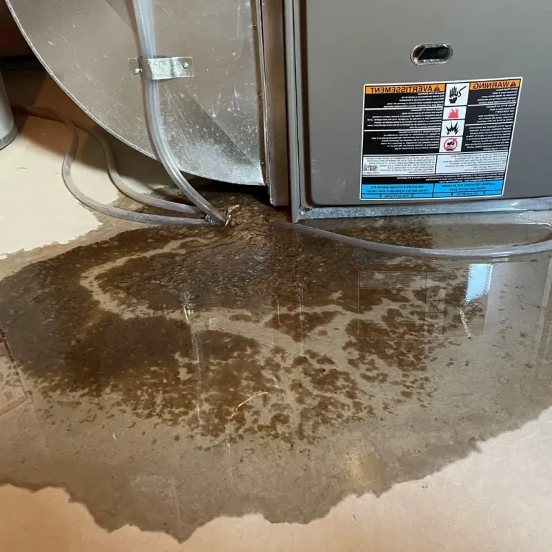 Pipe Burst and Leak Restoration in East Gull Lake, MN