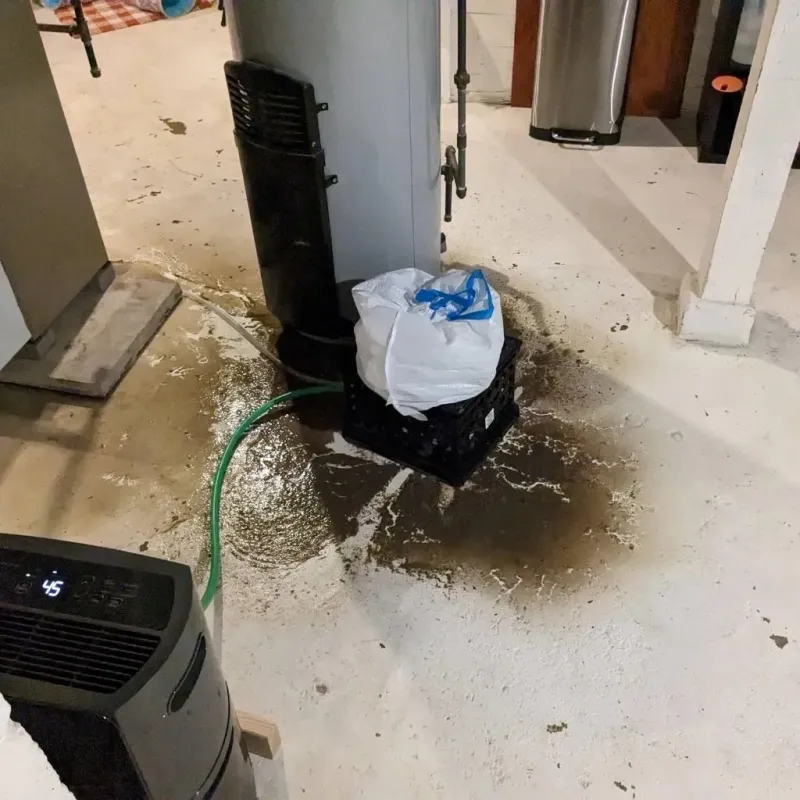 Sewage Backup Cleanup Service in East Gull Lake, MN